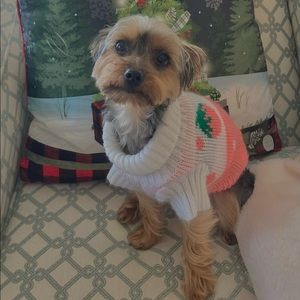 Shipping Issues - don’t worry!! 😊